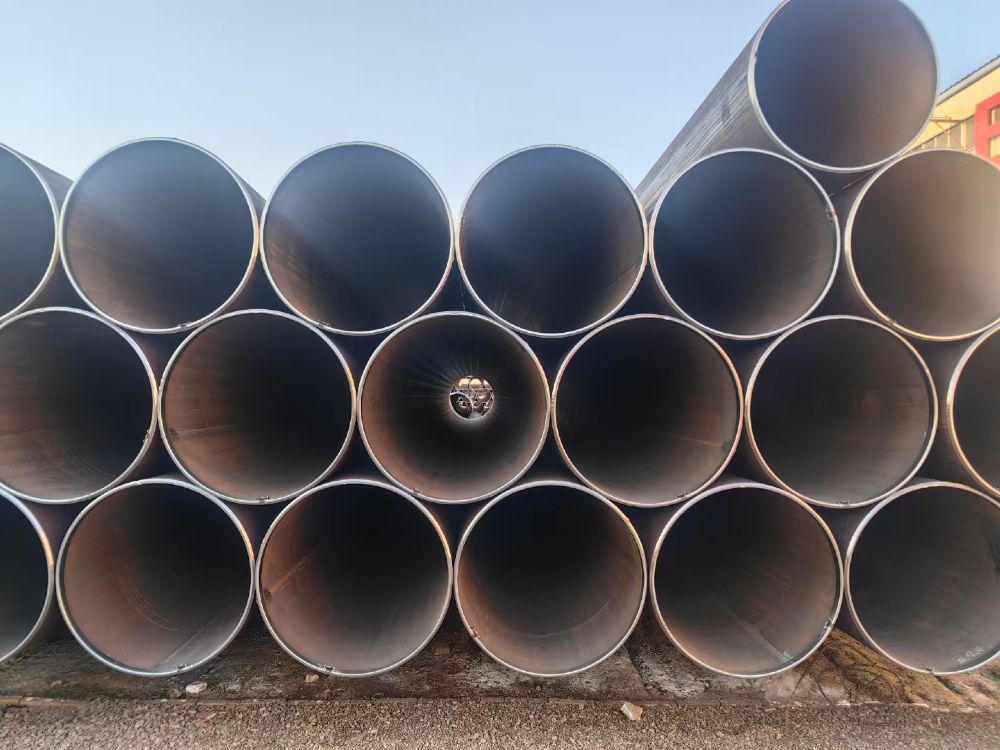 ERWֱ�p����